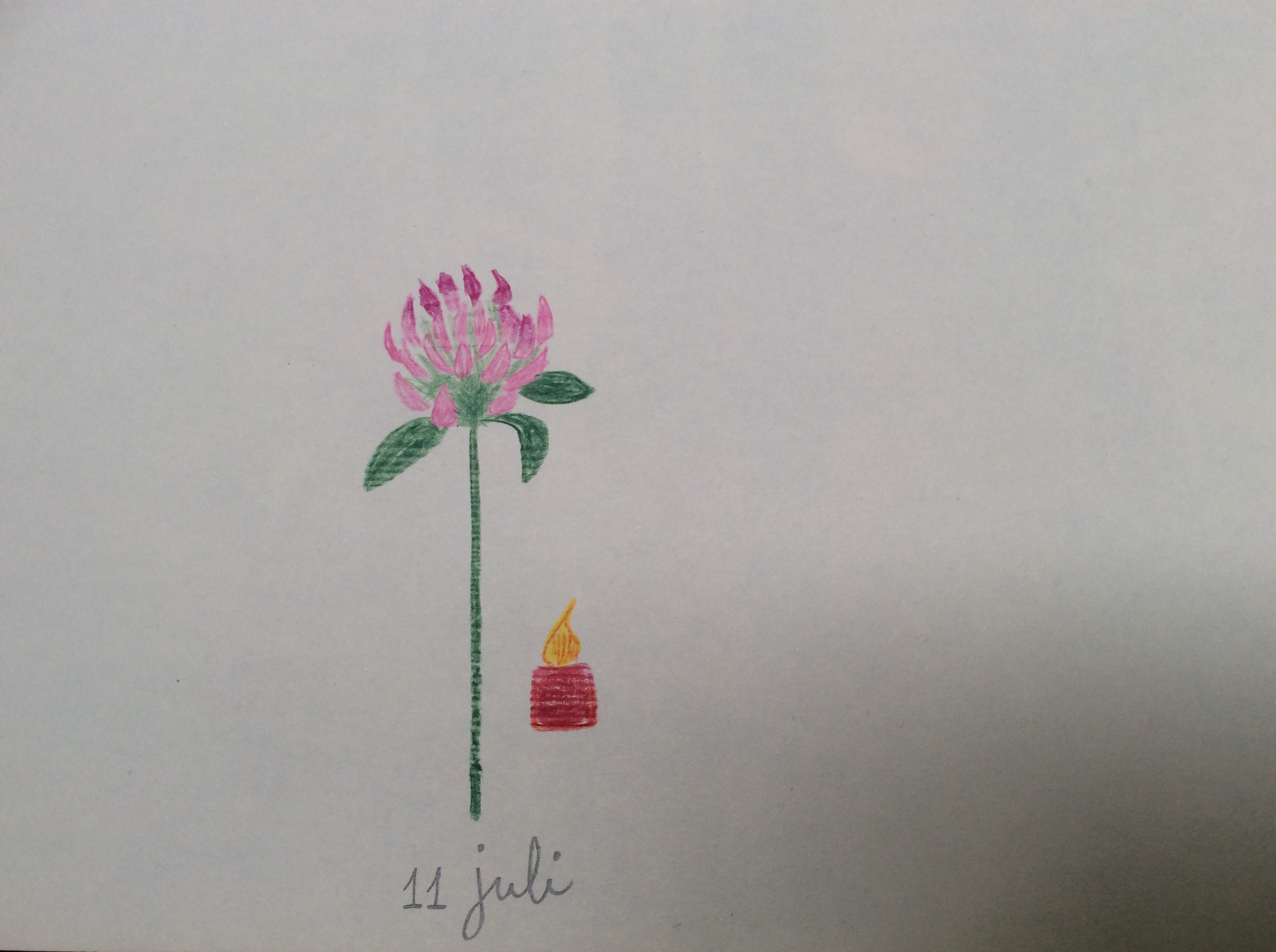 bloem